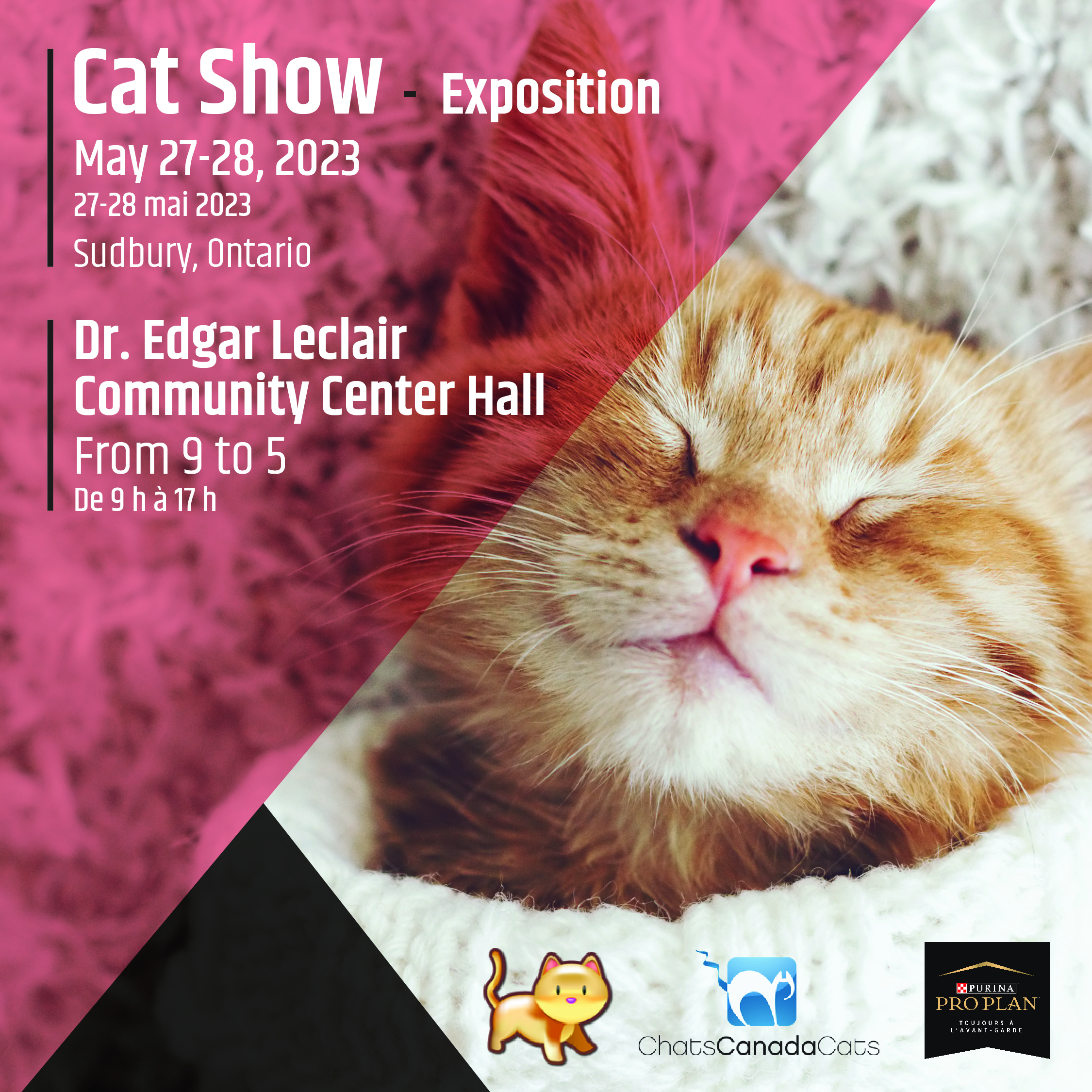Expo